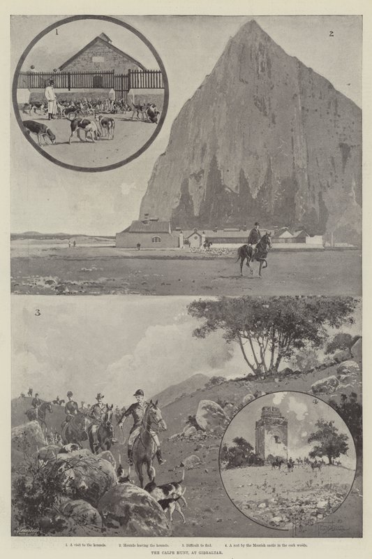 La chasse au Calpe, à Gibraltar - Joseph Holland Tringham