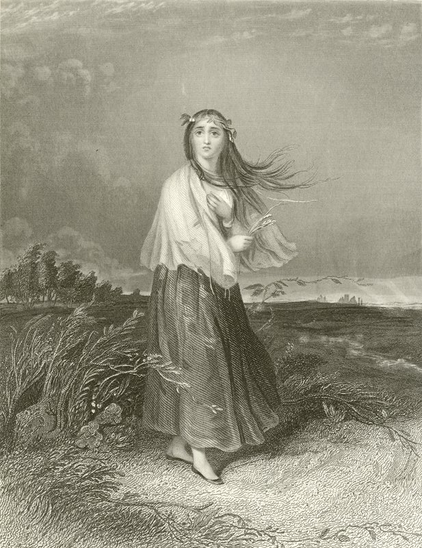 Kate est folle - Joseph John Jenkins