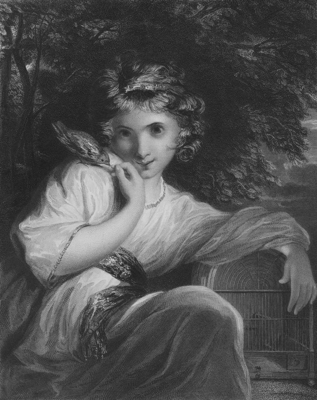 Robinet - Joshua Reynolds