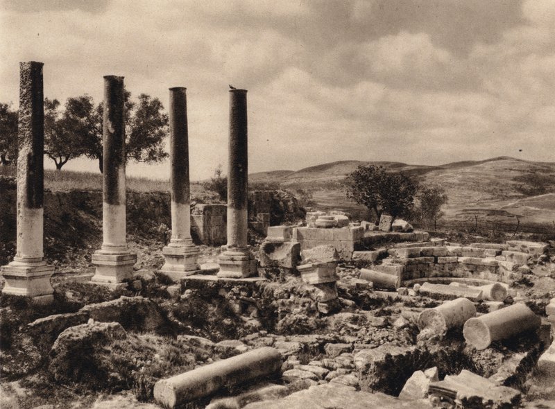 Samarie, ruines du palais d