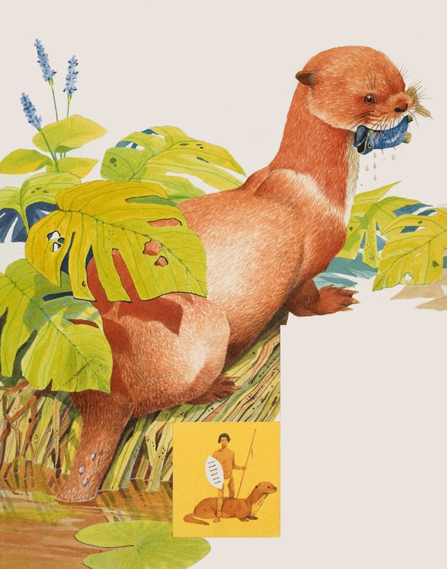 Le Saro - Kenneth Lilly
