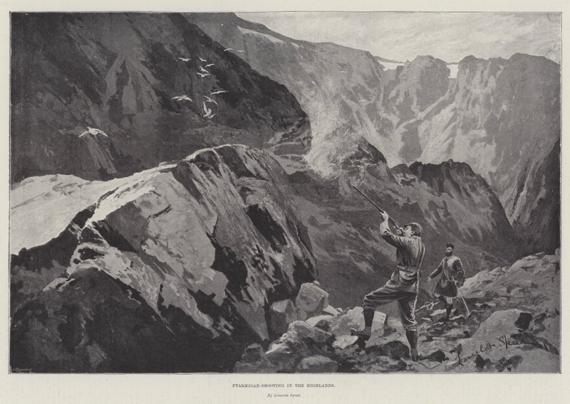 Chasse au lagopède dans les Highlands - Lancelot Speed