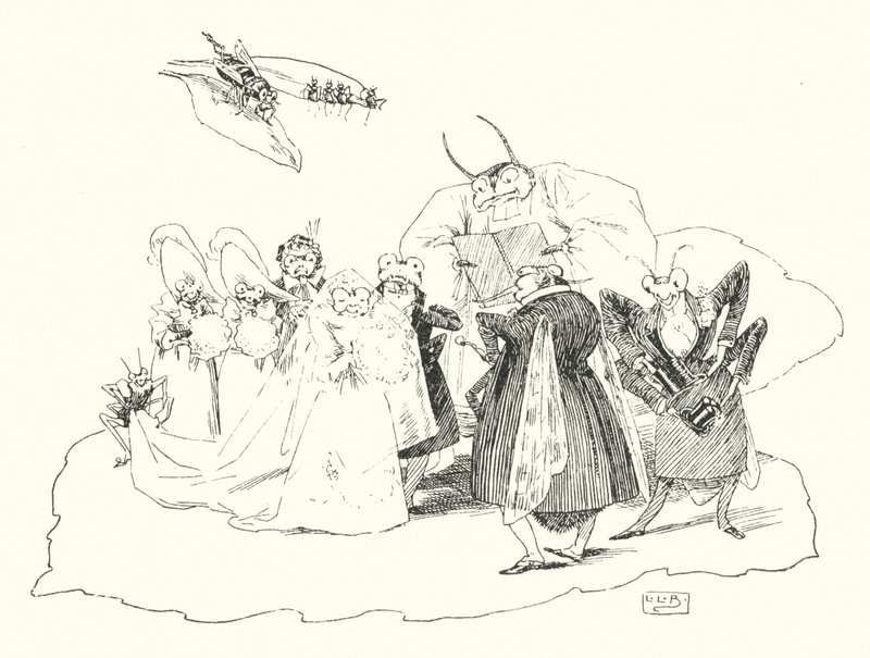 Fiddle-de-dee, fiddle-de-dee (gravure) - Leonard Leslie Brooke