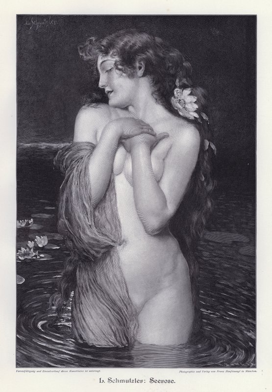 Nénuphar - Leopold Schmutzler