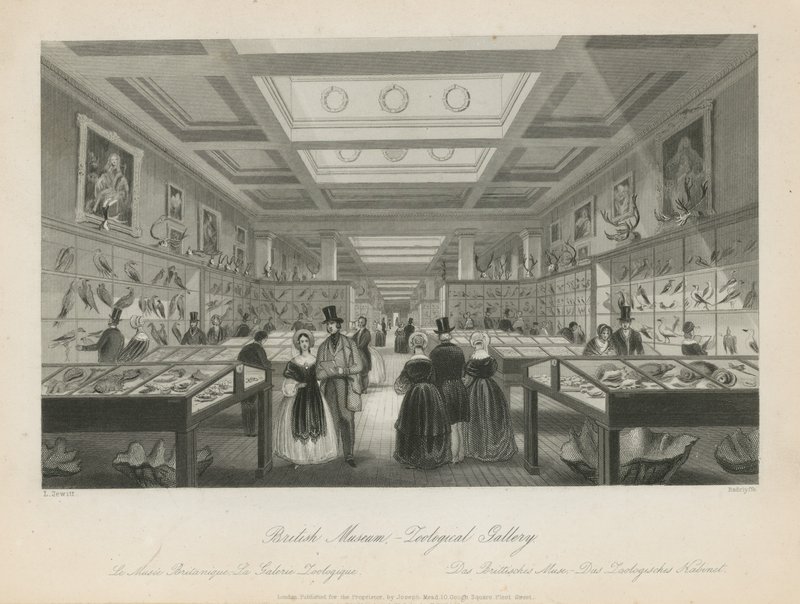 Salle zoologique au British Museum - Llewellyn Jewitt