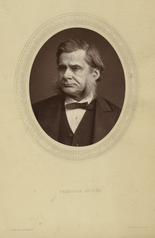 Portrait de Thomas Henry Huxley - Lock and Whitfield