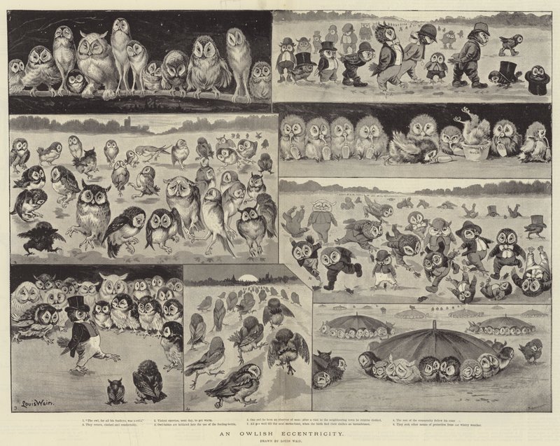 Une excentricité de hibou - Louis Wain