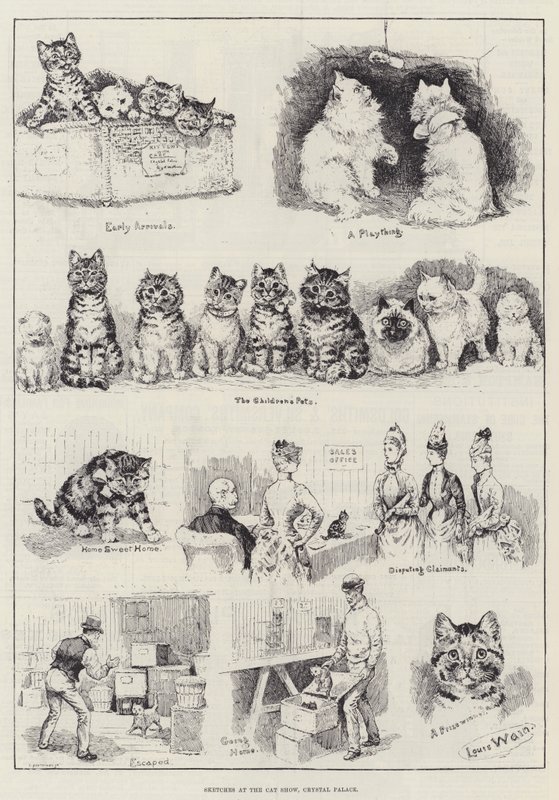 Croquis à l
