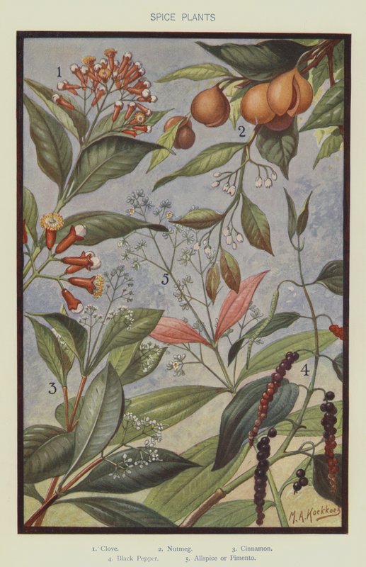 Plantes épicées - Marinus Adrianus Koekkoek