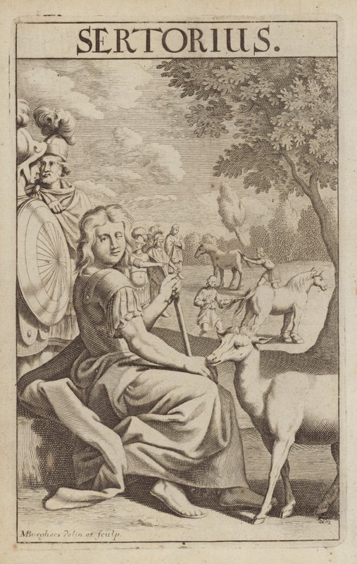 Quintus Sertorius, homme d