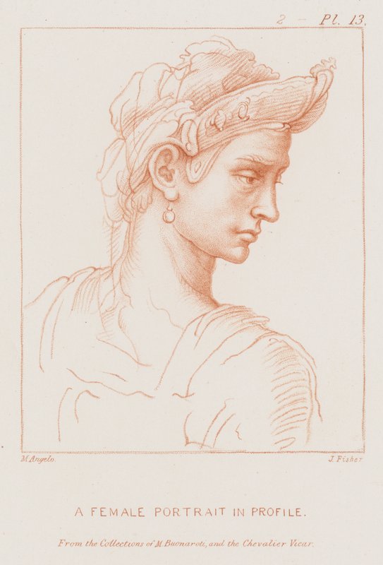 Portrait de femme de profil - Michelangelo Buonarroti