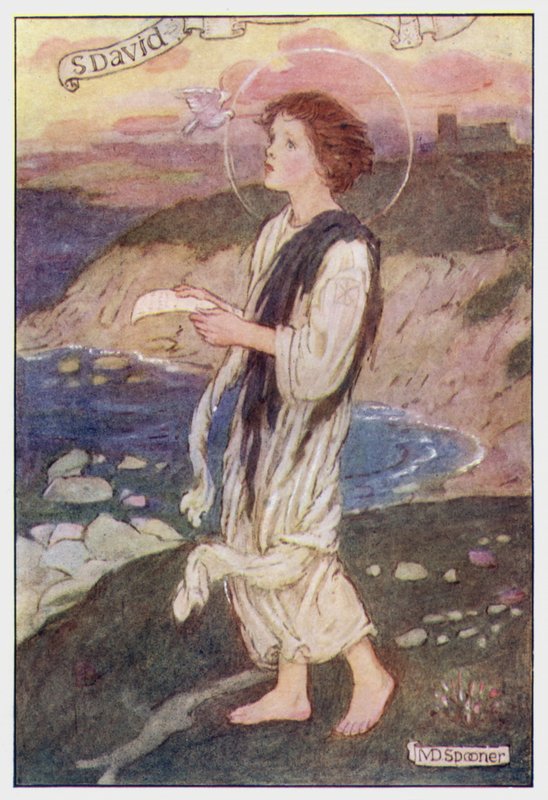 Saint David - Minnie Didbin Spooner