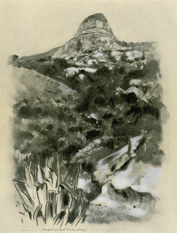 Bloemfontein - Mortimer Ludington Menpes