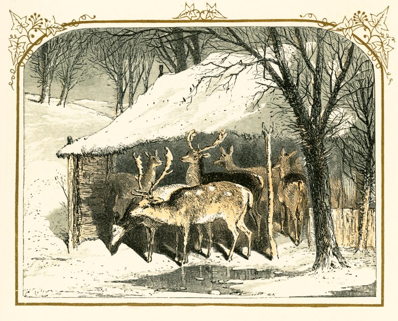 Cerfs dans la neige - Myles Birket Foster