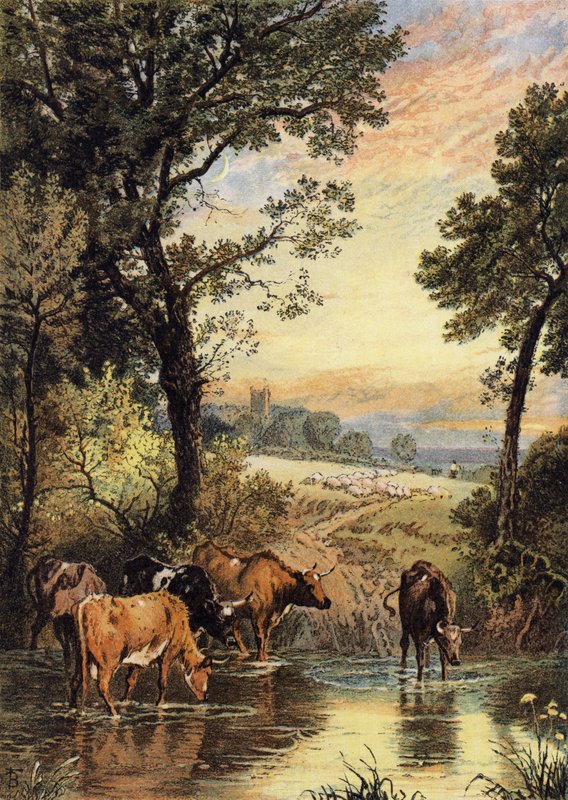 Soirée d