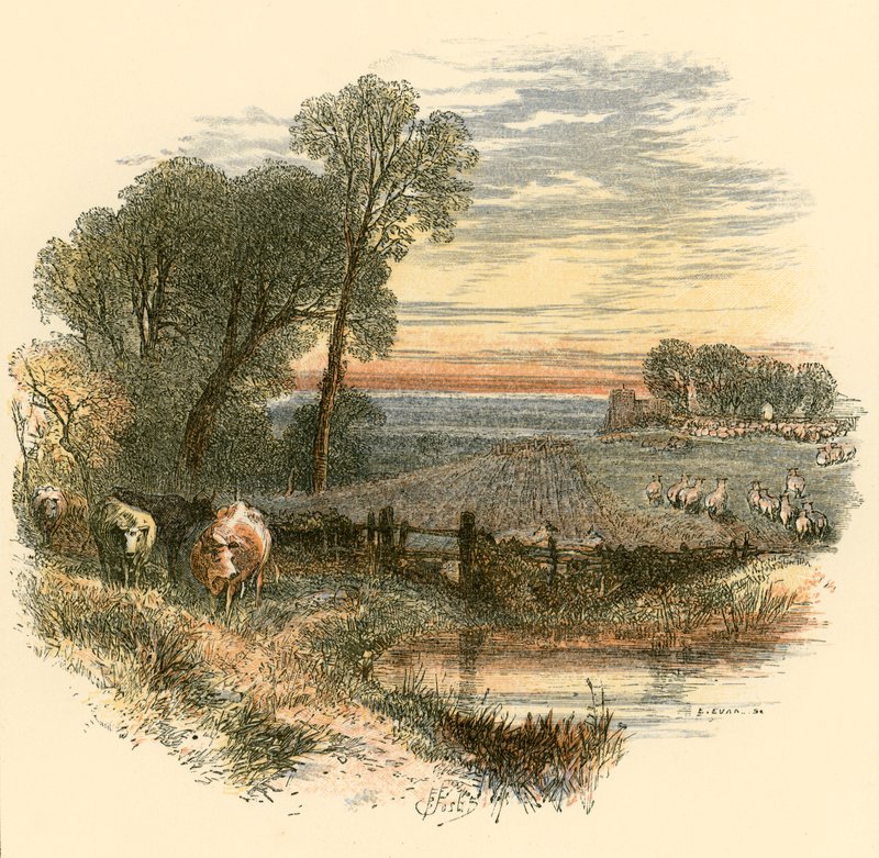 Dimanche - Myles Birket Foster