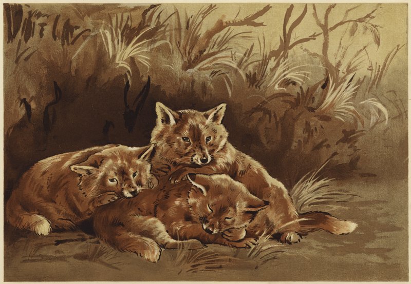 La tanière des voleurs - N. Parker