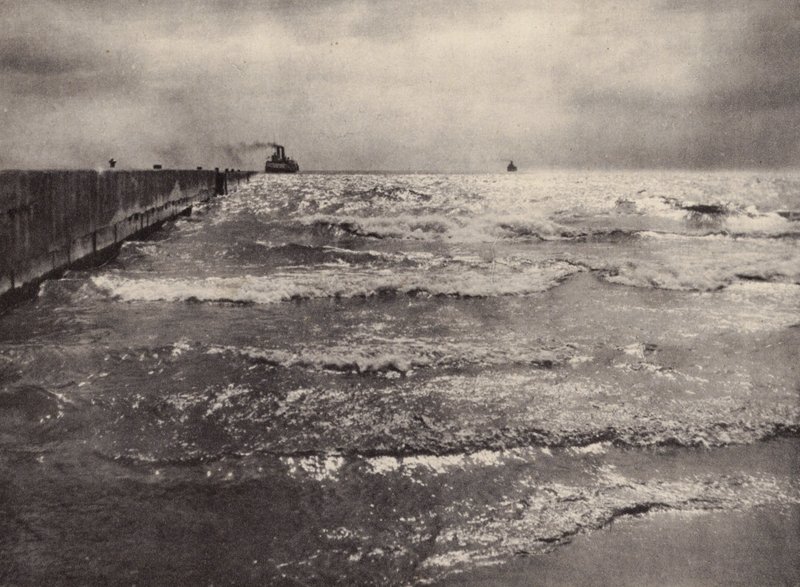 Été, Lac Ontario - Nichol Elliot
