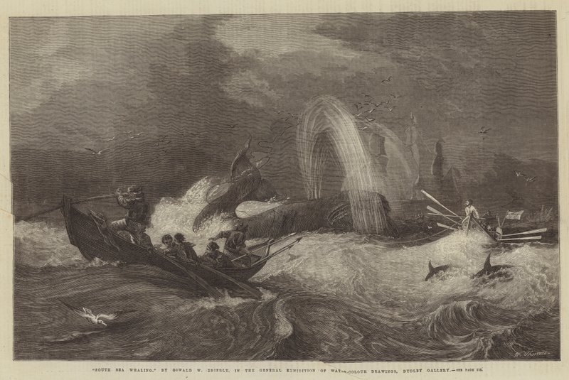 Chasse à la baleine dans les mers du Sud, à l