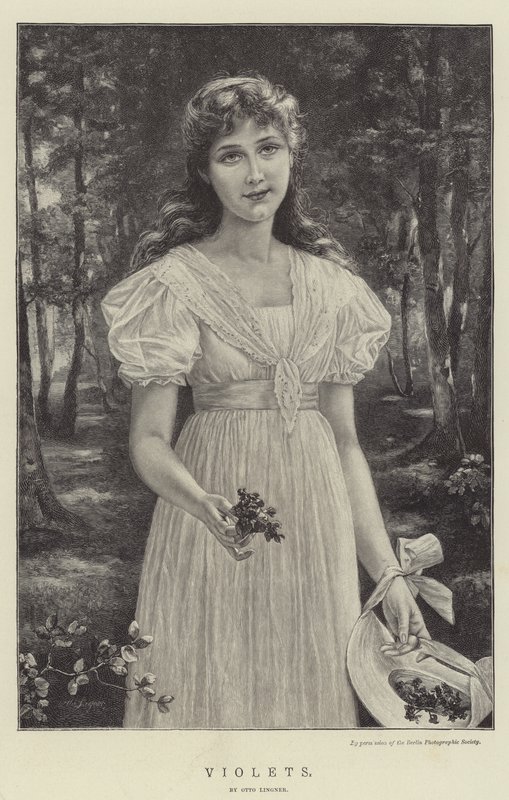 Violettes - Otto Theodor Gustav Lingner