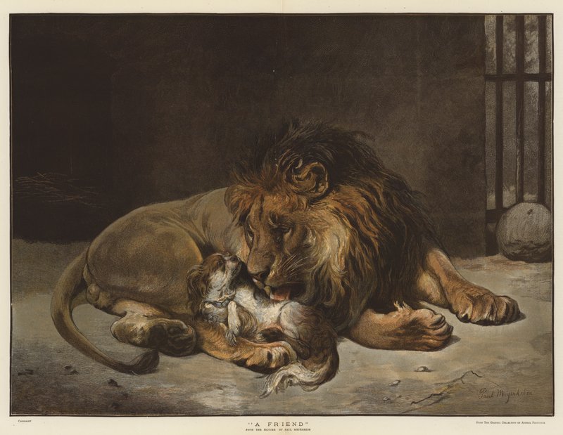 Un ami - Paul Friedrich Meyerheim