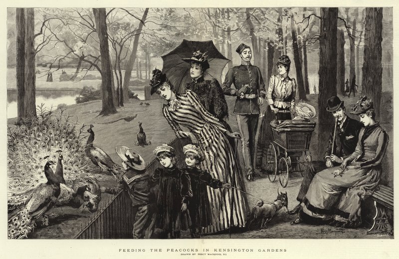 Nourrir les paons dans les jardins de Kensington - Percy Macquoid