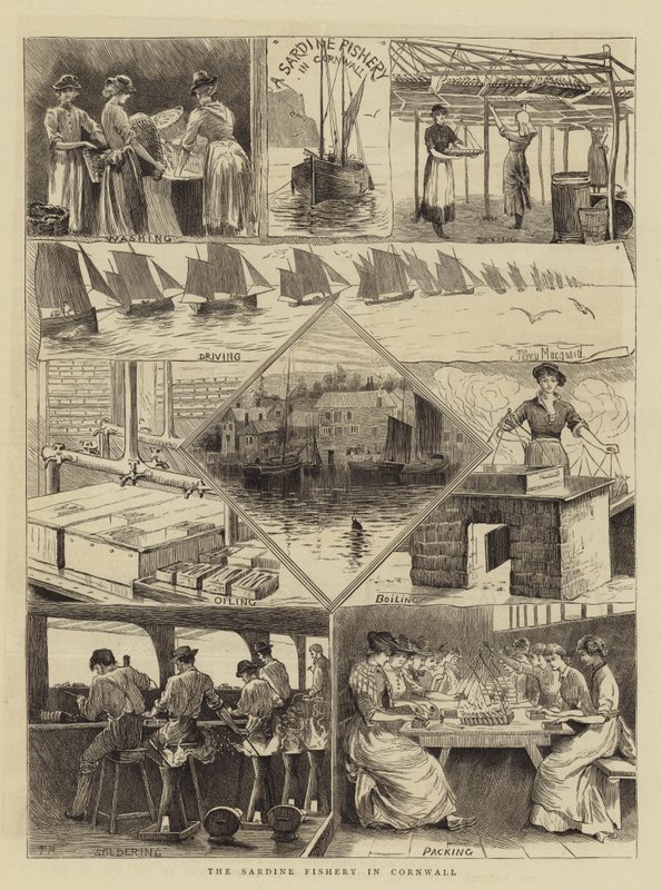 La Pêche à la Sardine en Cornouailles - Percy Macquoid