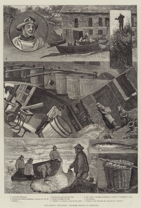 Nos industries de pêche, pêche à la senne des pilchards en Cornouailles - Percy Robert Craft