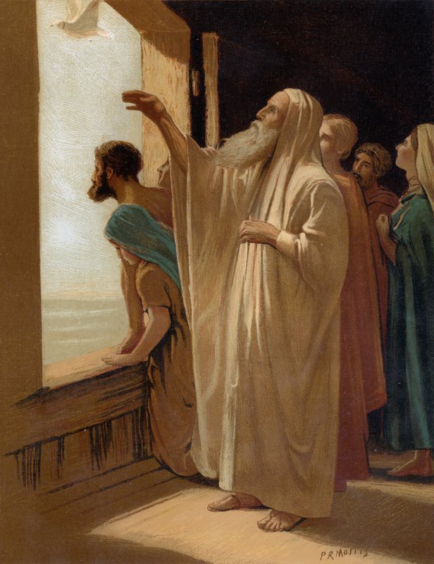 Noé envoyant la colombe, pendant le Déluge - Philip Richard Morris