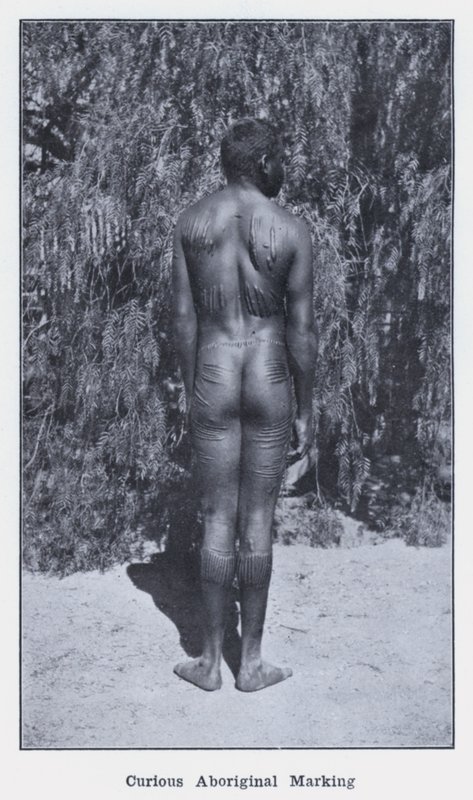 Marquage curieux aborigène - Photographer Australian