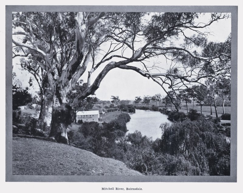 Rivière Mitchell, Bairnsdale - Photographer Australian