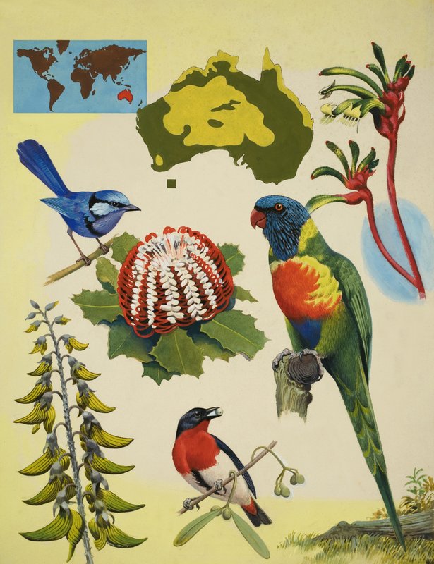 Faune et flore d