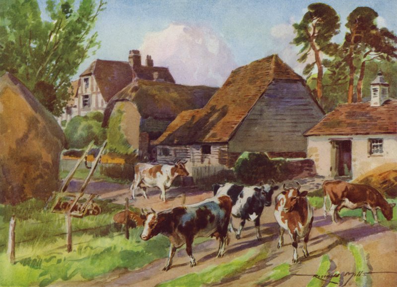 Illustration pour Ma Ferme - Reginald Mills