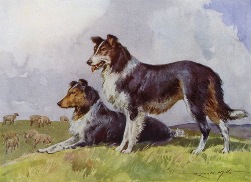 Illustration pour Ma Ferme - Reginald Mills