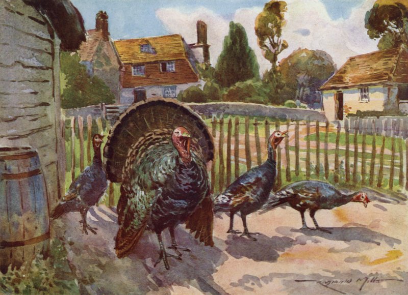 Illustration pour Ma Ferme - Reginald Mills