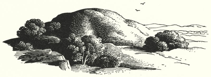 Le Mont des Elfes - Rex (after) Whistler