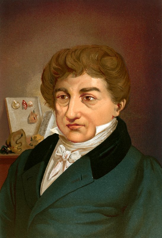 Georges Cuvier - Ricardo Marti