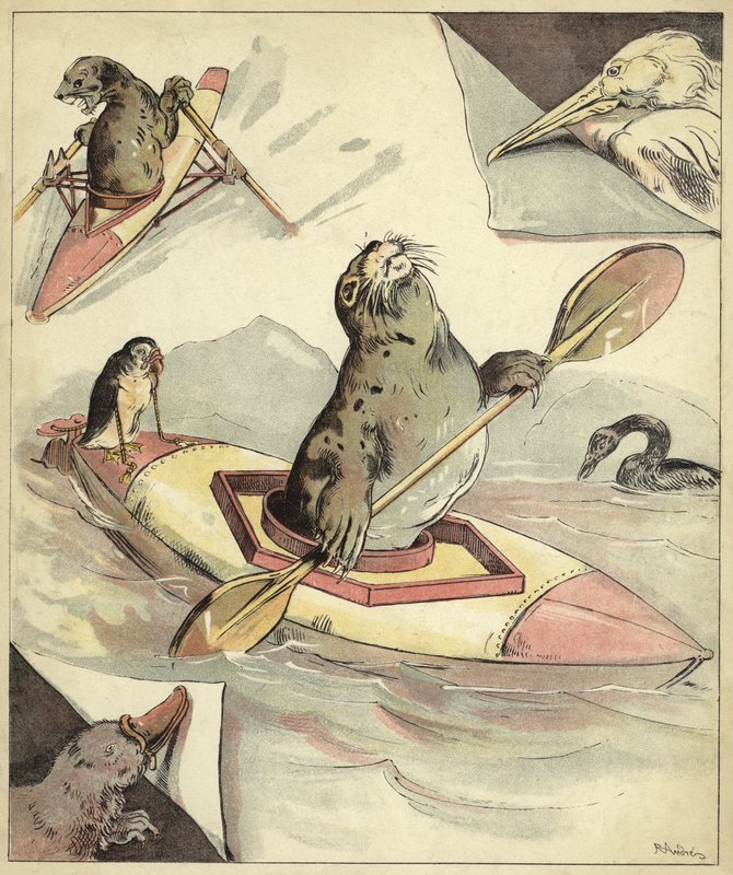 Phoque en canoë - Richard Andre