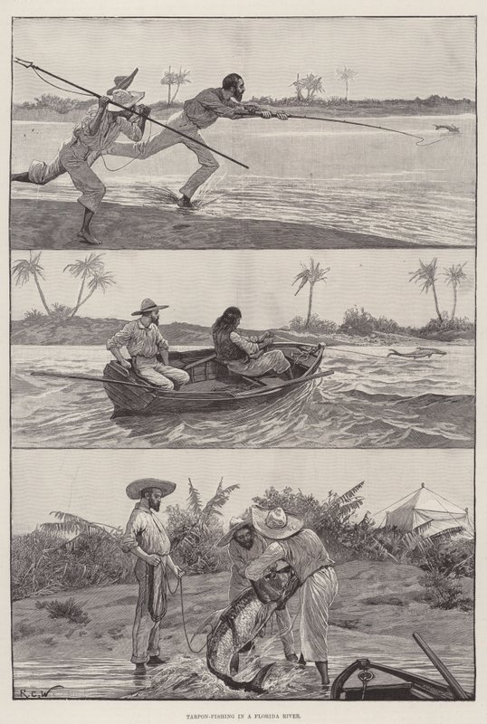 Pêche au tarpon dans une rivière de Floride - Richard Caton Woodville junior