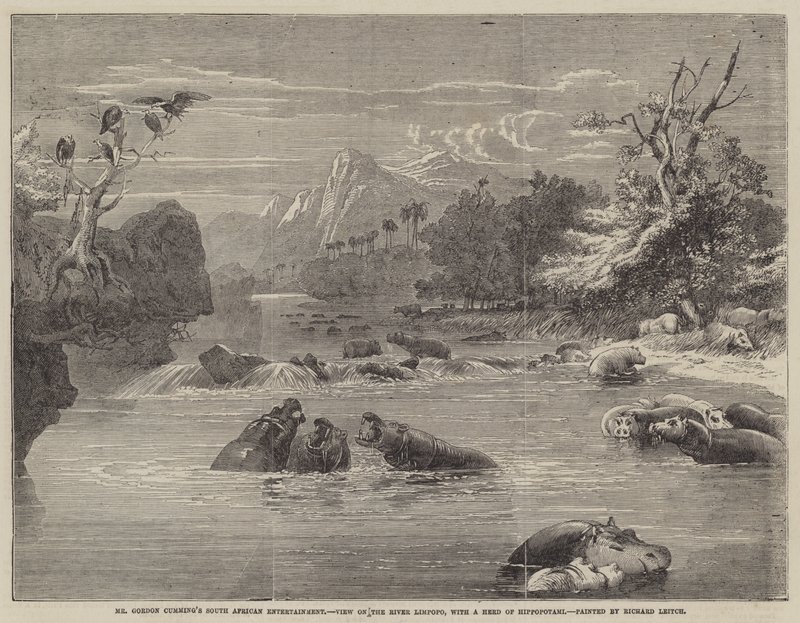 Divertissement sud-africain de M. Gordon Cumming, vue sur la rivière Limpopo, avec un troupeau d