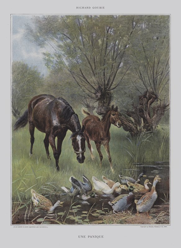 Une Panique - Richard Doyle