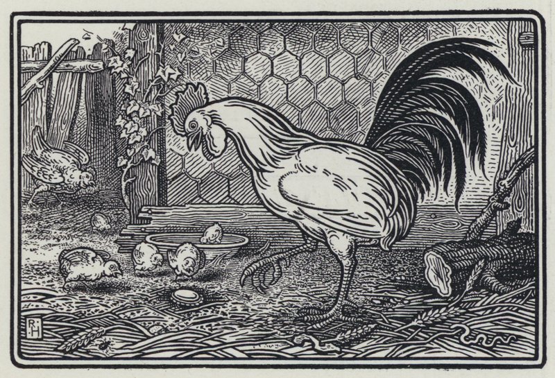 Le Coq et La Perle - Richard Heighway