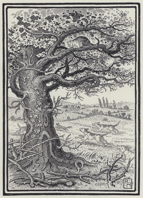 Le renard et le chat - Richard Heighway