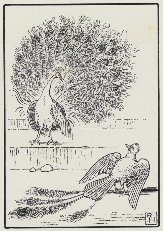 Le Geai et Le Paon - Richard Heighway