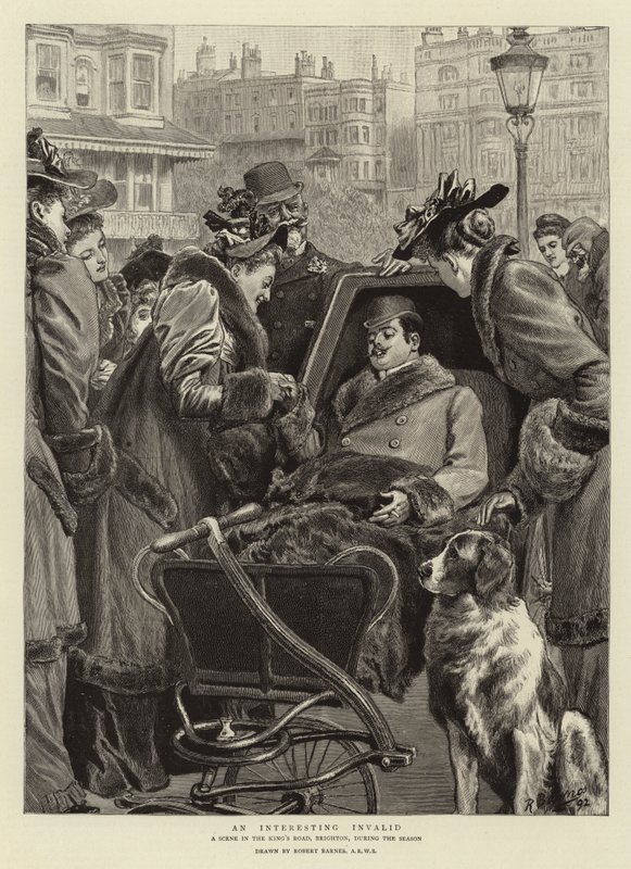 Un Intéressant Invalide - Robert Barnes