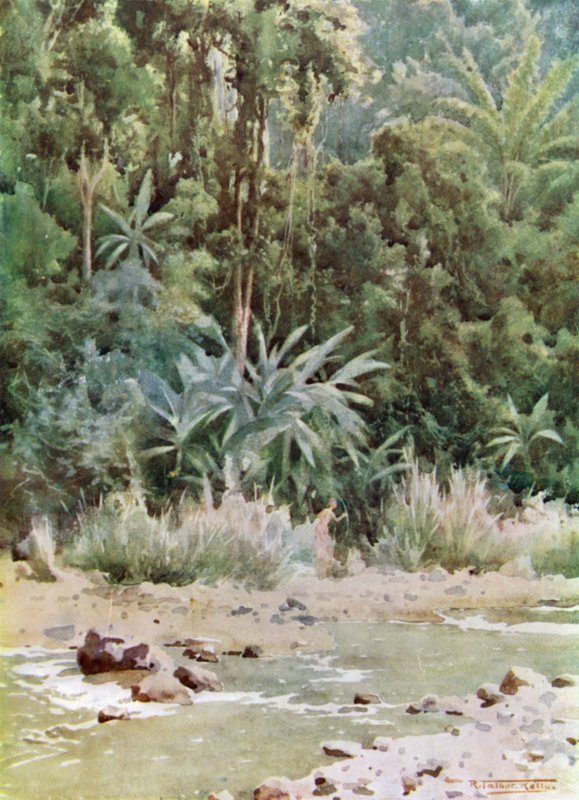Un ruisseau de jungle - Robert George Talbot Kelly