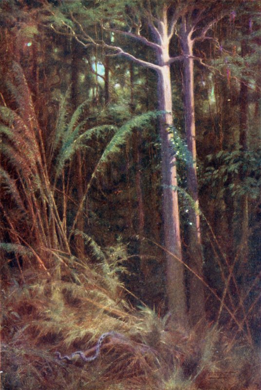 Dans les profondeurs de la forêt - Robert George Talbot Kelly
