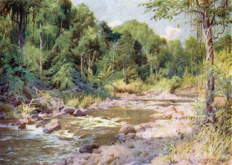 Sur la rivière Sterne - Robert George Talbot Kelly