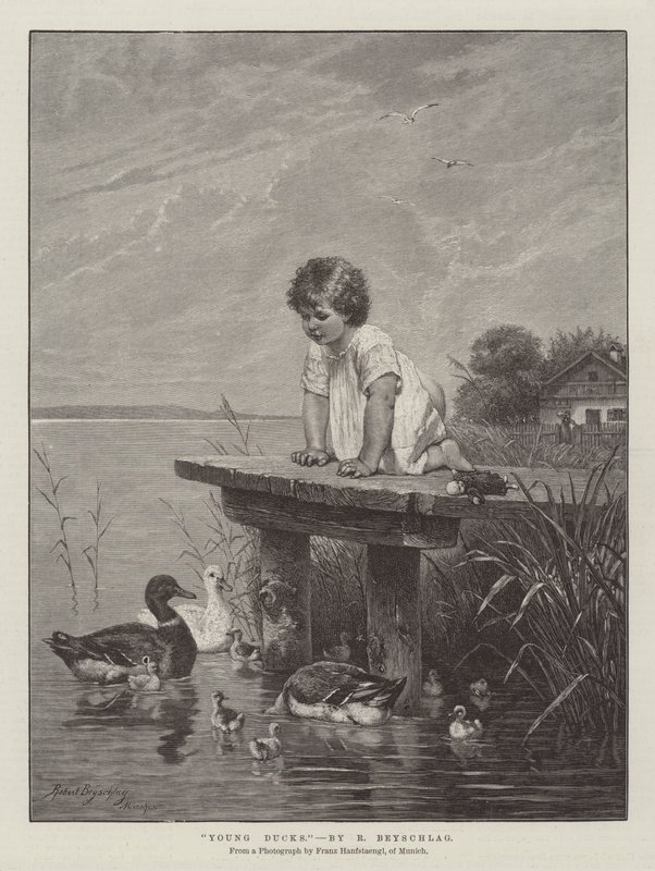 Jeunes canards - Robert Julius Beyschlag