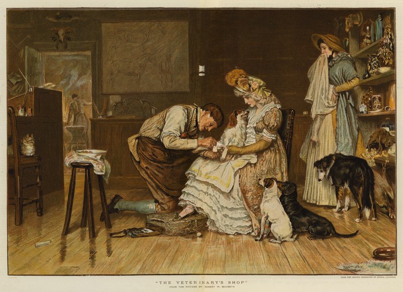 La Boutique du Vétérinaire - Robert Walker Macbeth